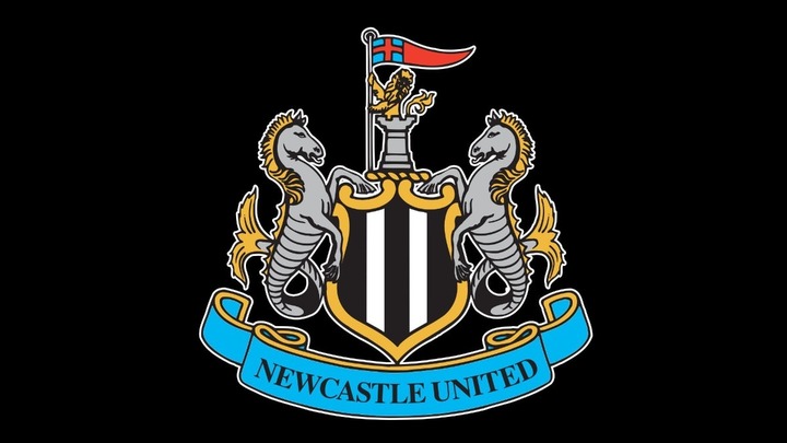 Lawyer on takeover by Newcastle United